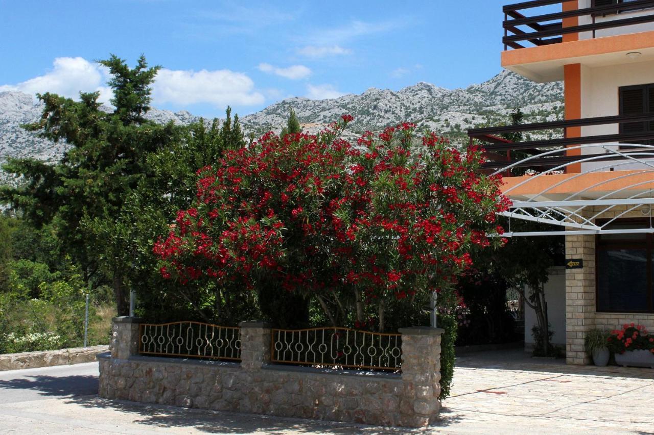 Apartments And Rooms By The Sea Starigrad, Paklenica - 6591 Экстерьер фото